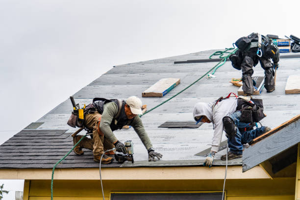 Professional Roof Repair technician working in New Germany, MN